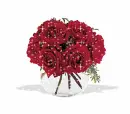 red roses