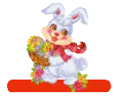 bunny