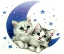 on the moon