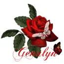 Rose with name