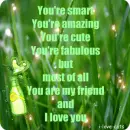 You are