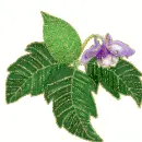 Leaf