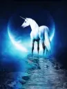 horse