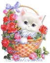 happy spring