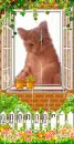 my cat