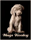 Hugs Kealey