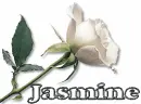 JASMINE