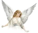 Anjo - Angel