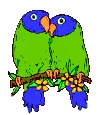 Ave - Bird