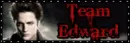 Team Edward
