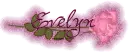 Evelyn