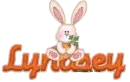 Lyndsey