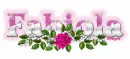 Fabiola pink rose
