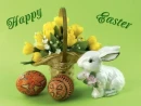 Happy Easter Bunny