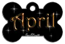 dog bone tag stars orange april