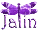 purple dragonfly jalin