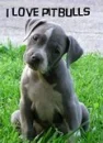 pit