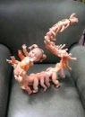 weird hhhhh