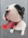 cute
