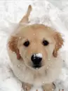 cute