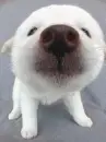 cute