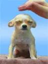 cute