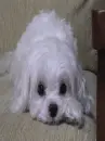 cute