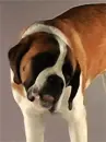 cute
