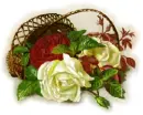 rose basket