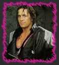 WWE Bret Hart