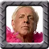 WWE Wrestling