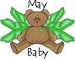 May baby bear