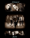 Twilight - The cullens