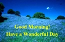Good Morning - Bluebonnets