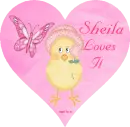 SHEILA