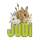 Easter Bunny: Judi