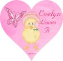 EVELYN