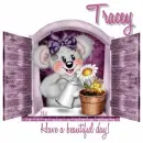 Tracey