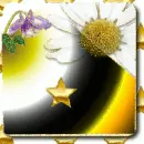 Starry