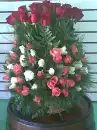 rosas