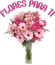 flores