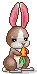 Wee Lil Bunny
