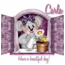 Carla