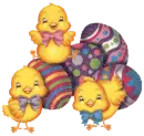 Chicks n Eggs