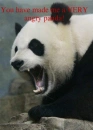 Angry Panda