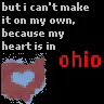 hawthorne heights