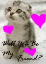 Will You?