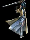 Fighting Gold And Blue Elf