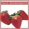 wild strawberry