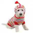 RAINBOW DOG